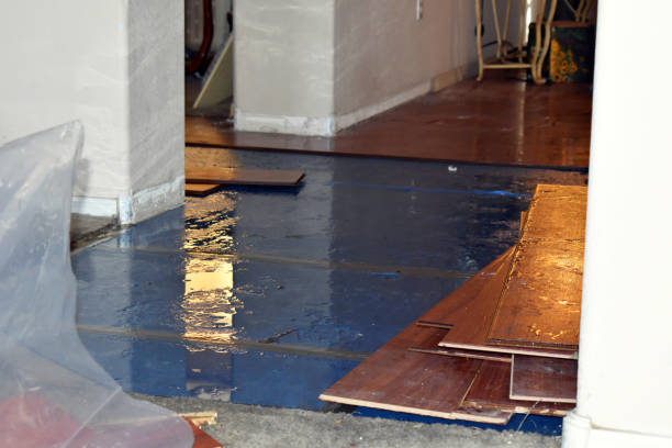 Professional Sewage Cleanup technician working in Ida, MI