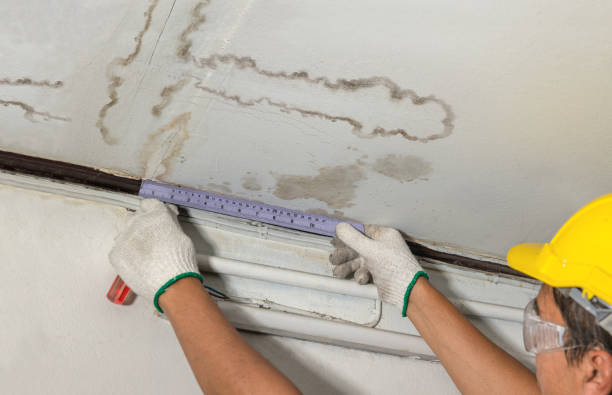 Reliable Sewage Cleanup contractor in Ida, MI by Water Damage Irwin